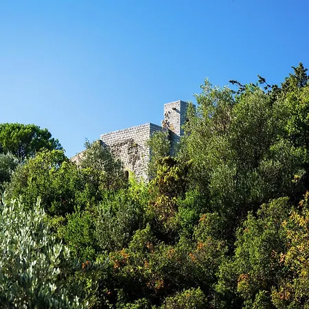 Vila In With Private Pool